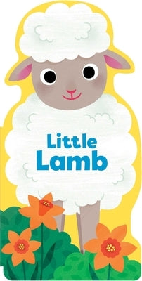 Little Lamb by Fischer, Maggie