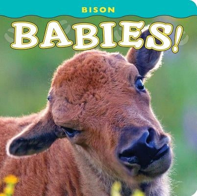 Bison Babies! by Jones, Donald M.