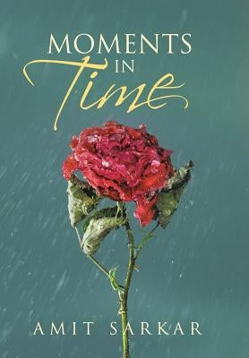 Moments in Time by Sarkar, Amit