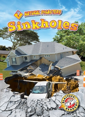 Sinkholes by Pettiford, Rebecca