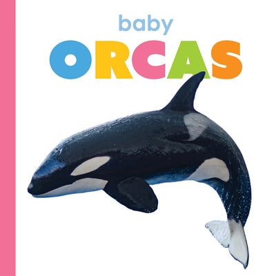 Baby Orcas by Thompson, Kim