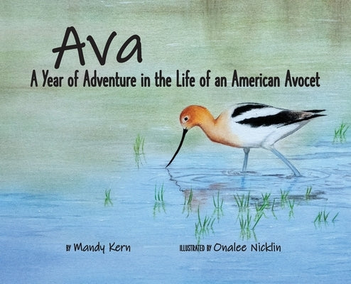 Ava: A Year of Adventure in the Life of an American Avocet by Kern, Mandy