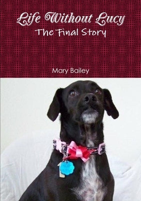Life Without Lucy by Bailey, Mary