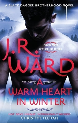 A Warm Heart in Winter by Ward, J. R.