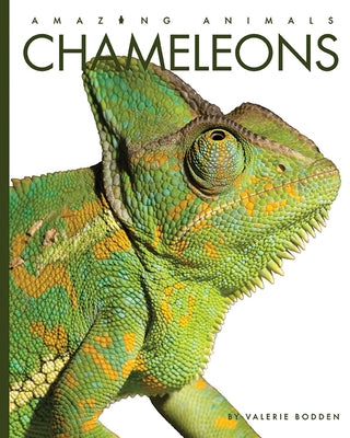 Chameleons by Bodden, Valerie