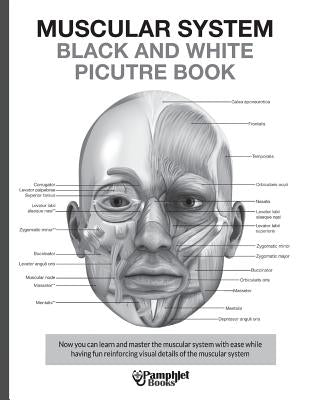 Muscular System Black and White Picture Book: Guide For The Muscular System by Books, Pamphlet