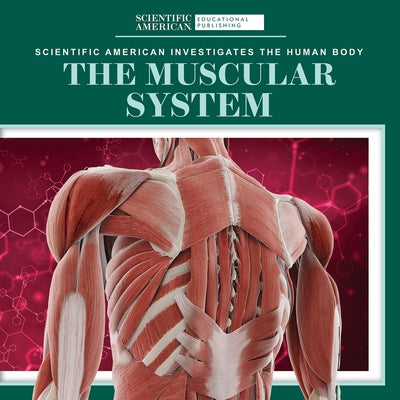 The Muscular System by McClure, Leigh