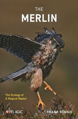 The Merlin: The Ecology of a Magical Raptor by Rennie, Frank