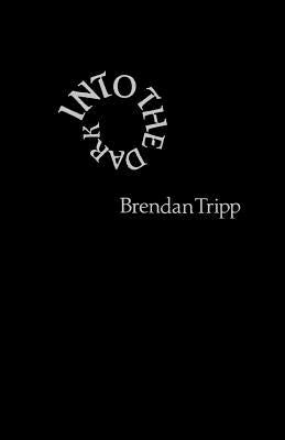 Into The Dark by Tripp, Brendan