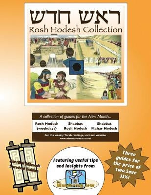 Bar/Bat Mitzvah Survival Guides: Rosh Hodesh Collection by Michaelson Majs, Elliott