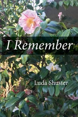 I Remember by Shuster, Luda