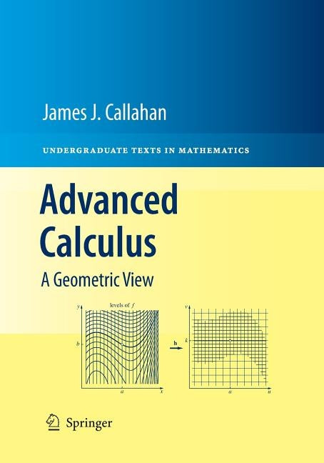 Advanced Calculus: A Geometric View by Callahan, James J.