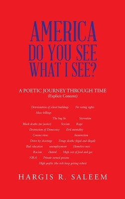 America Do You See What I See?: A Poetic Journey Through Time by Saleem, Hargis R.