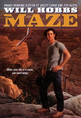 The Maze by Hobbs, Will