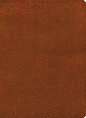 NASB Study Bible, Burnt Sienna Leathertouch by Holman Bible Publishers