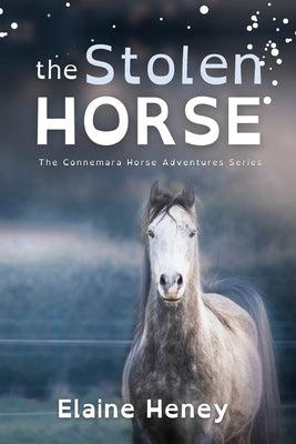 The Stolen Horse - Dyslexia Friendly by Heney, Elaine