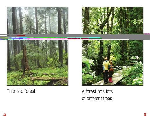 All about Forests by Santos, Penelope