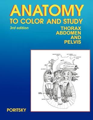 Anatomy to Color and Study Thorax Third Edition by Poritsky, Ray