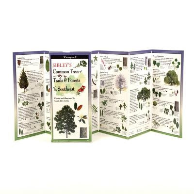 Sibley's Trees of Trails & Forests of the Southeast by Sibley, David