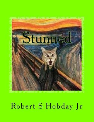 Stunned: A Collection of Stunned Cats by Hobday, Robert S., Jr.