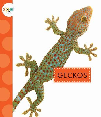 Geckos by Bach, Rachel