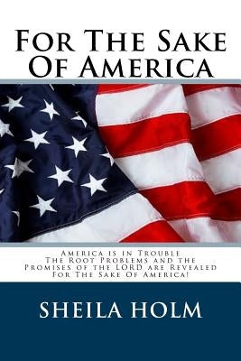 For The Sake Of America by Holm, Sheila