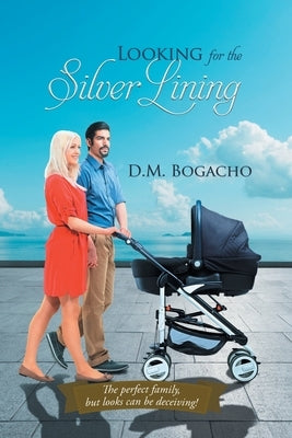 Looking for the Silver Lining by D M Bogacho