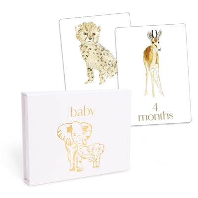 Baby: First Year Milestone Cards: 12 Monthly Cards for Photos and Display by Baker, Loulou