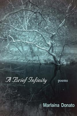 A Brief Infinity: Poems by Donato, Marlaina