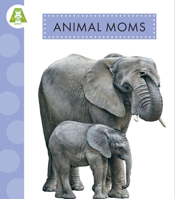 Animal Moms by Golkar, Golriz