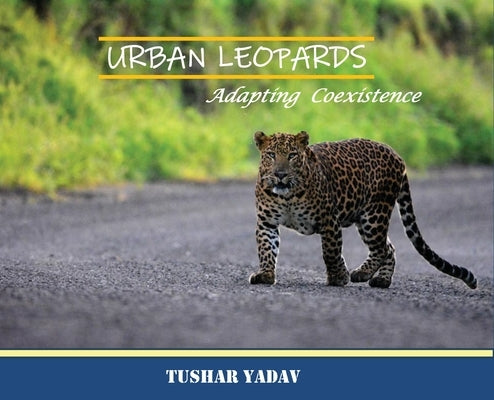Urban Leopards, Adapting coexistence by Yadav, Tushar