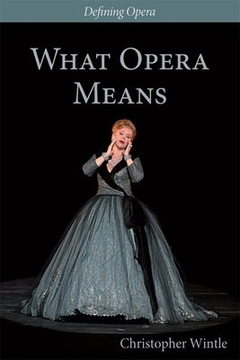 What Opera Means: Categories and Case-Studies by Wintle, Christopher