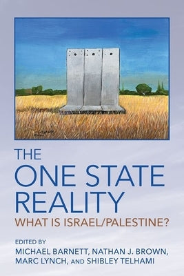 The One State Reality: What Is Israel/Palestine? by Barnett, Michael