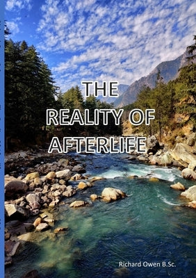 The Reality Of Afterlife by Owen, Richard