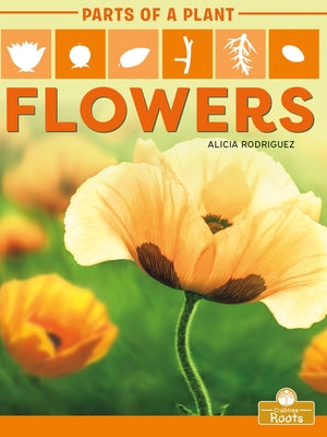 Flowers by Rodriguez, Alicia