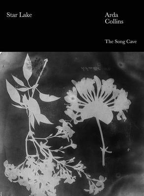 Star Lake by Collins, Arda