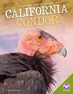 California Condor by Lanser, Amanda