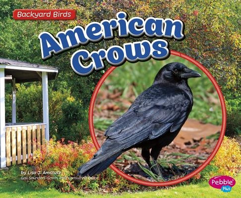 American Crows by Amstutz, Lisa J.