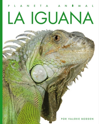 La Iguana by Bodden, Valerie