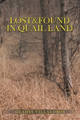 Lost&Found in Quail Land by Villalobos, Gladys