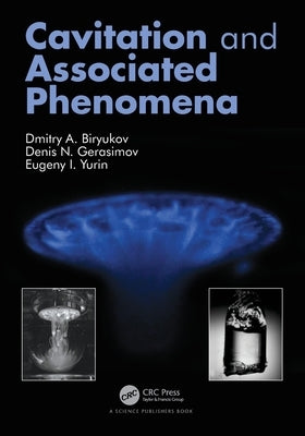 Cavitation and Associated Phenomena by Biryukov, Dmitry