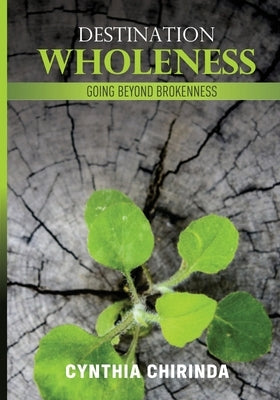Destination Wholeness: Going Beyond Brokenness by Chirinda, Cynthia