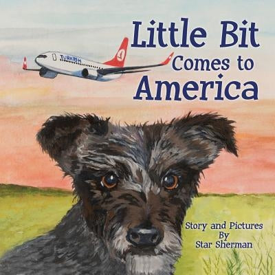 Little Bit Comes to America by Sherman, Star