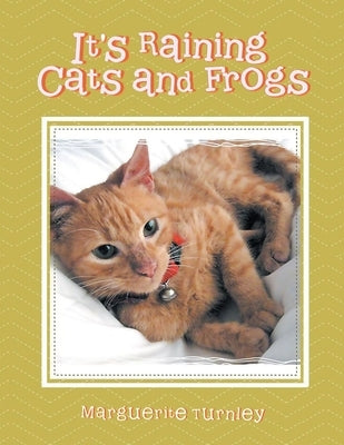 It's Raining Cats and Frogs by Turnley, Marguerite