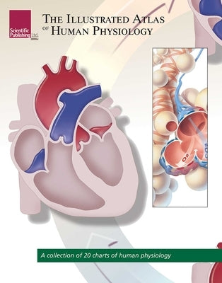 The Illustrated Atlas of Human Physiology: A Collection of 20 Anatomical Charts of Human Physiology by Scientific Publishing