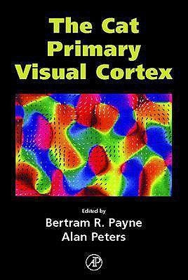 The Cat Primary Visual Cortex by Payne, Bertram