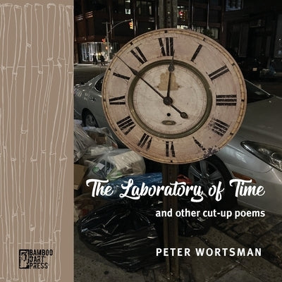 The Laboratory of Time by Wortsman, Peter