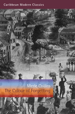 The Colour of Forgetting by Collins, Merle