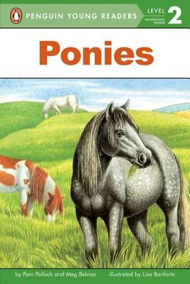 Ponies by Pollack, Pam