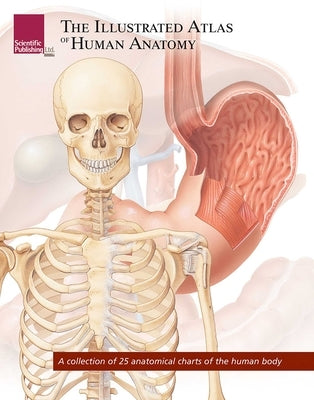 The Illustrated Atlas of Human Anatomy: A Collection of 25 Anatomical Charts of the Human Body by Scientific Publishing